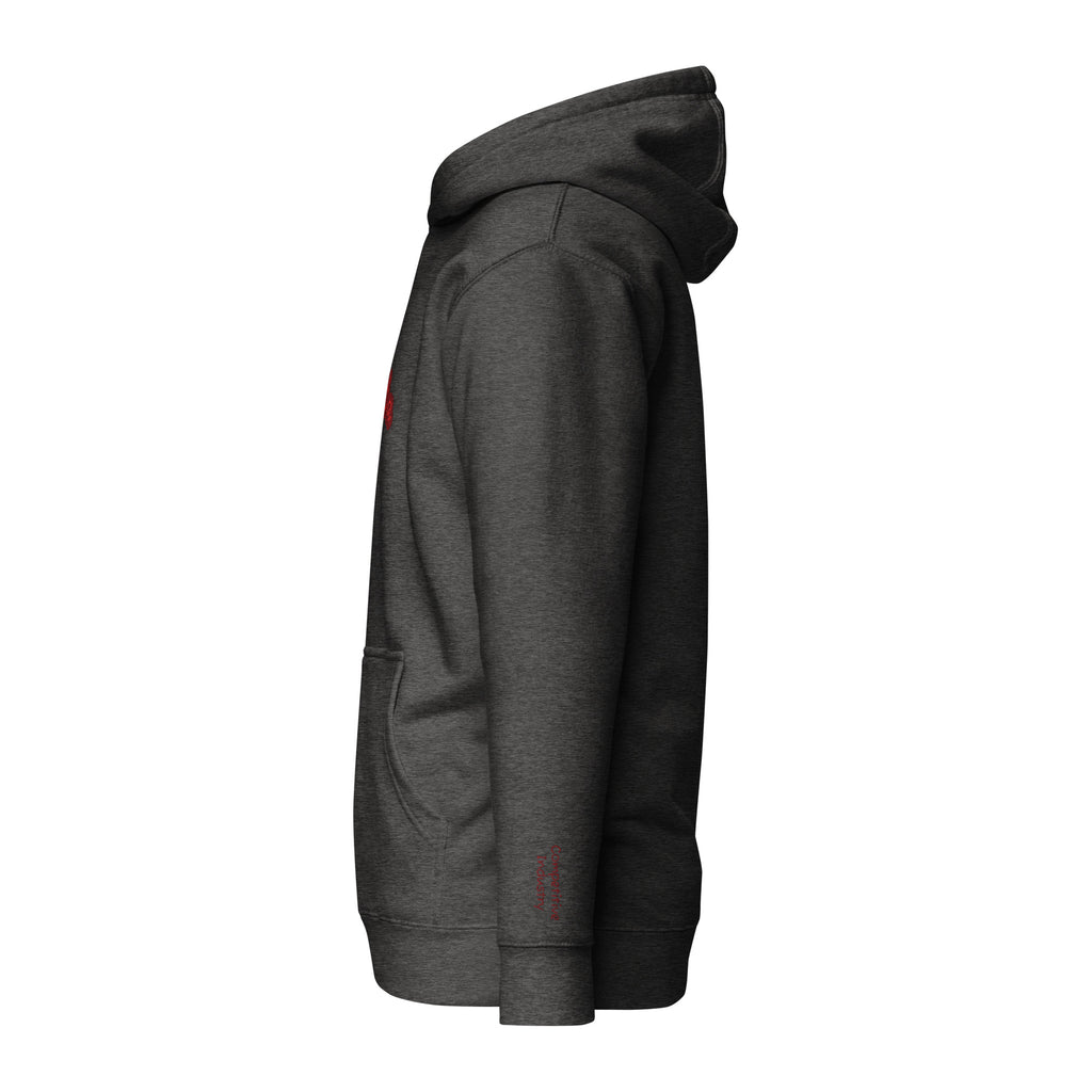 Vazzari Nuvanta Women's Hoodie – Charcoal Heather – left view – clean studio shot