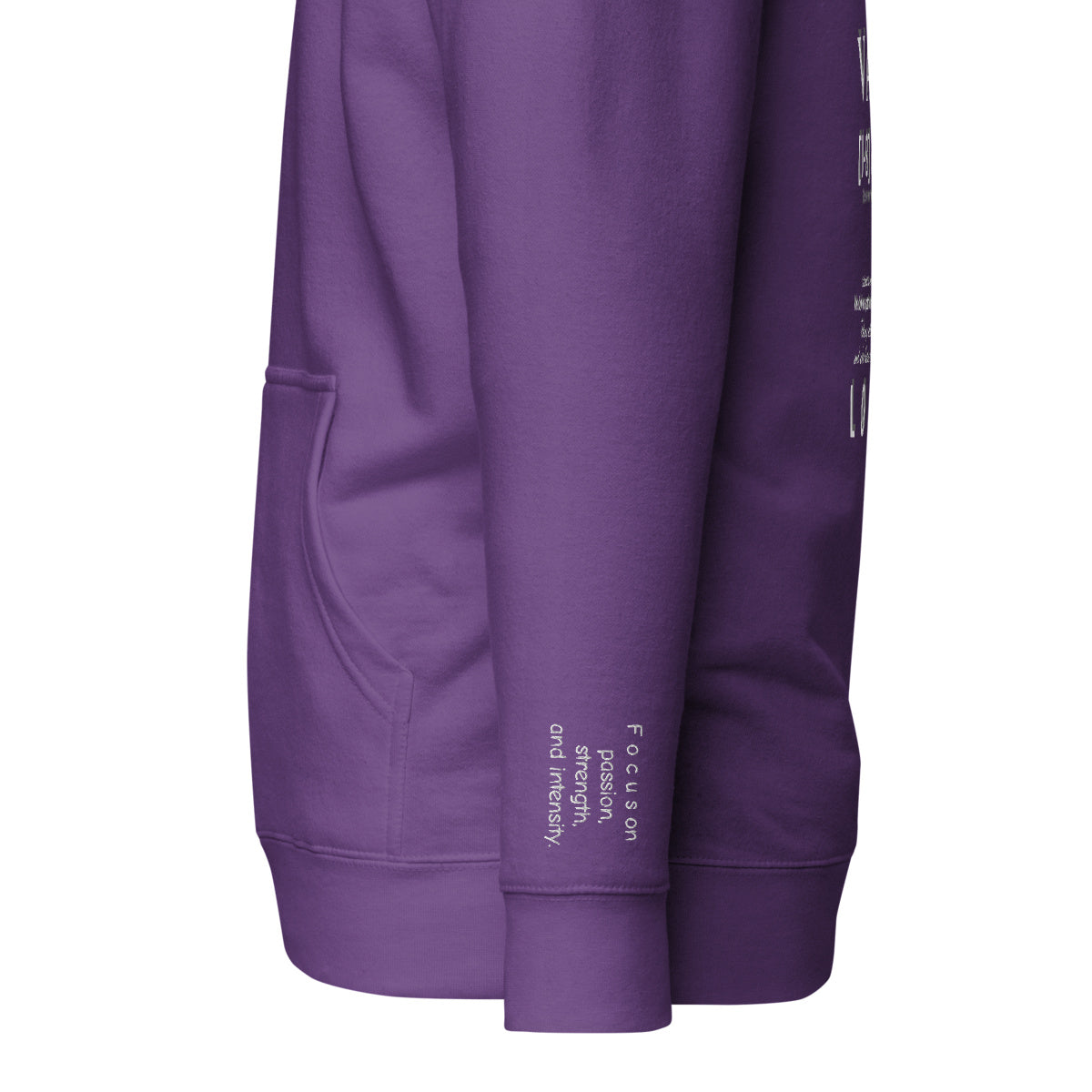 Vazzari Aethonius Men's Hoodie – Purple – left sleeve detail – clean studio shot