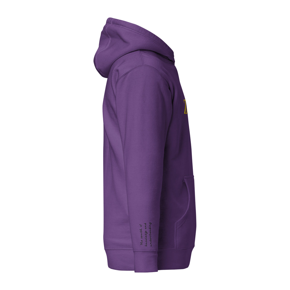 Vazzari Zenitron Hoodie – Purple – right view – clean studio shot