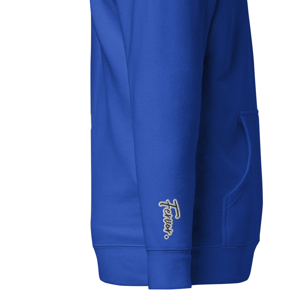 Vazzari Aethonius Men's Hoodie – Team Royal – right sleeve detail – clean studio shot
