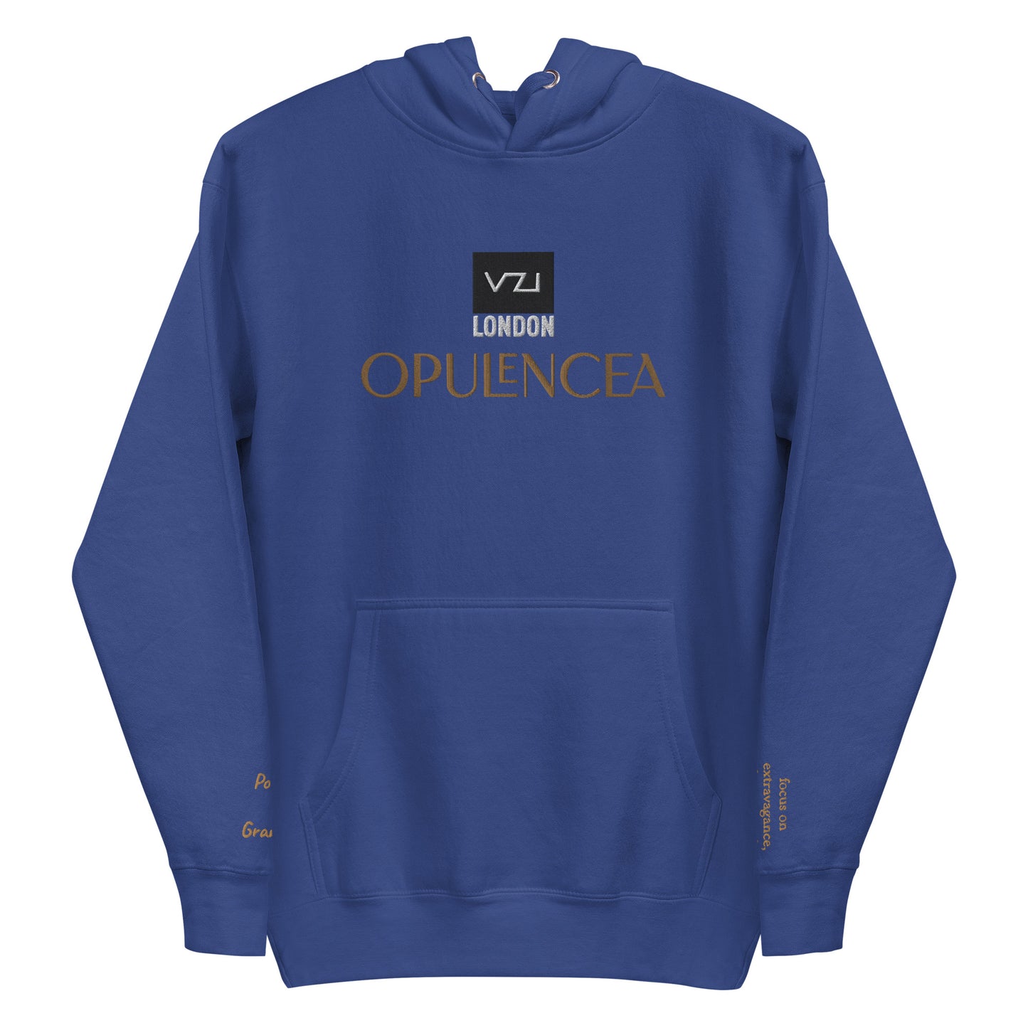 FRONT BLUE VZI HOODIE Opulencea: Unisex, Classic Cotton: Focus on extravagance, luxury, and indulgence(Posh Grandeur)
